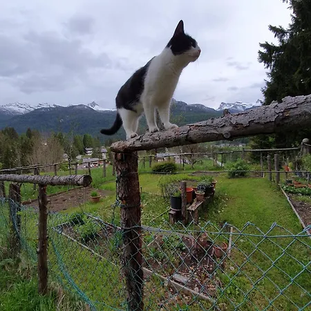 Cristallo Bed & Breakfast