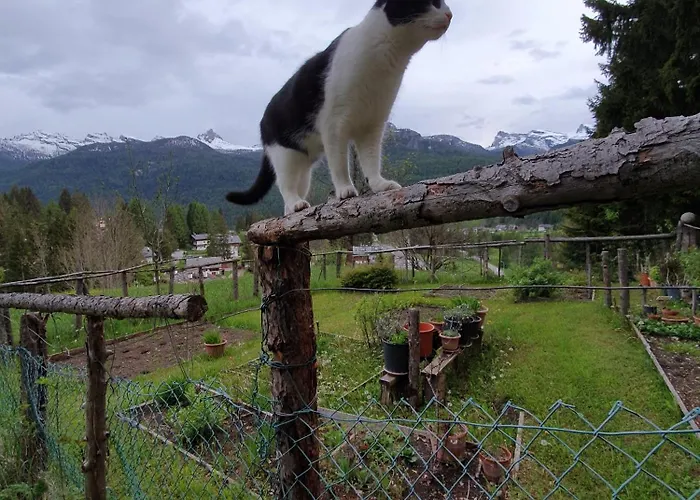 Cristallo Frühstückspension